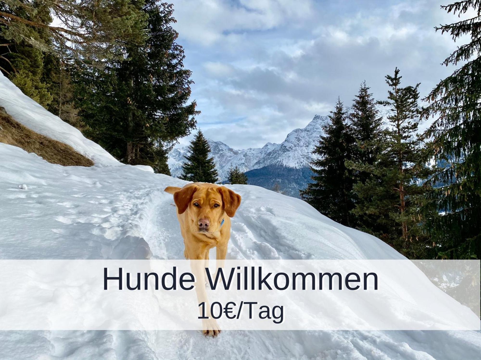 Ferienwohnung Rambold Sonnenterrasse Garmisch-Partenkirchen járás Kültér fotó
